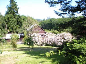 Photo: M. Romaine at Healing Farm