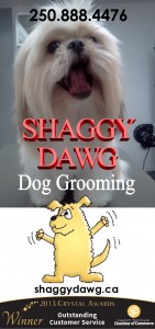 Shaggy Dawg 2014